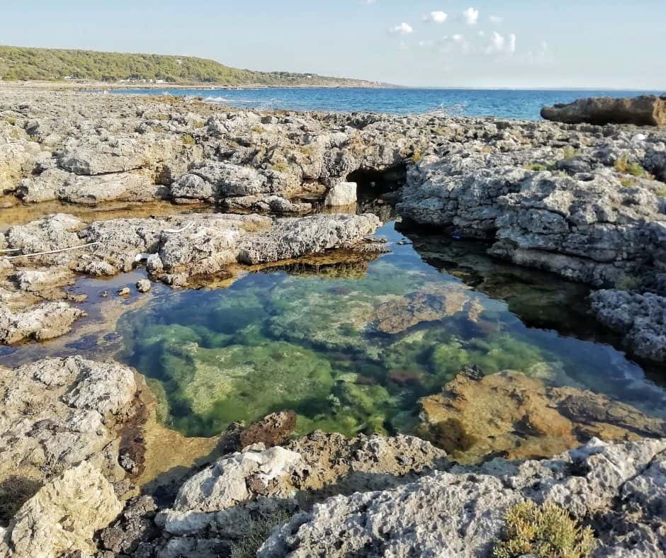 mare serra cicora