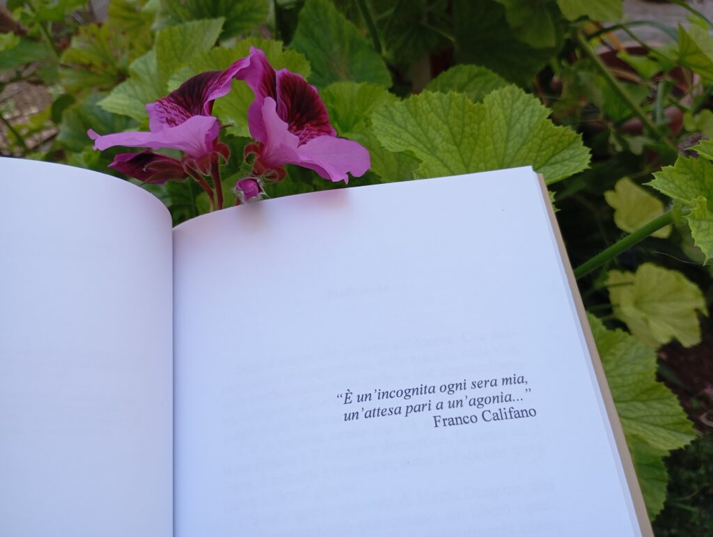 Poesie Mattia Dragone